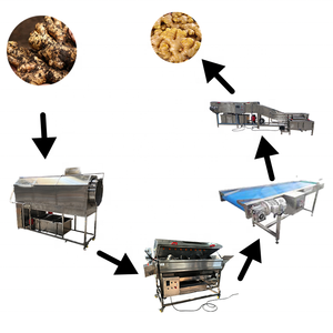 Équipement de lavage et de pelage continu automatique motorisé pour légumes et fruits, destiné aux usines ou lignes de transformation alimentaire - Product Image 4