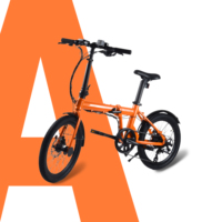 Durable Frey Bike for High-Speed 
