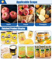 Automatische Vruchten Perzik Ananas Peeling Coring Snijden Productielijn Ingeblikt Fruit Productielijn