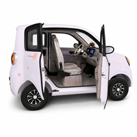 SumEV, Mini Vehículo Eléctrico Urbano y Elegante, 60V 100AH, Llantas de Aleación, Pantalla Inteligente de 9 Pulgadas, 100KM de Autonomía, para Conductores Jóvenes de Ciudad