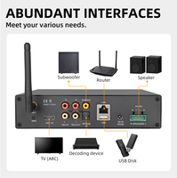 CL-500W Pro Ev Sinema Sistemi HiFi Güç Amplifikatörü 2.0 Kanal Alüminyum Alaşımlı Çift Bantlı WiFi 2.4G/5G BT5.4 RCA Optik Girişler AirPlay