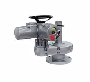 Attuatore Elettrico BIFFI ICON3000 - Product Image 3