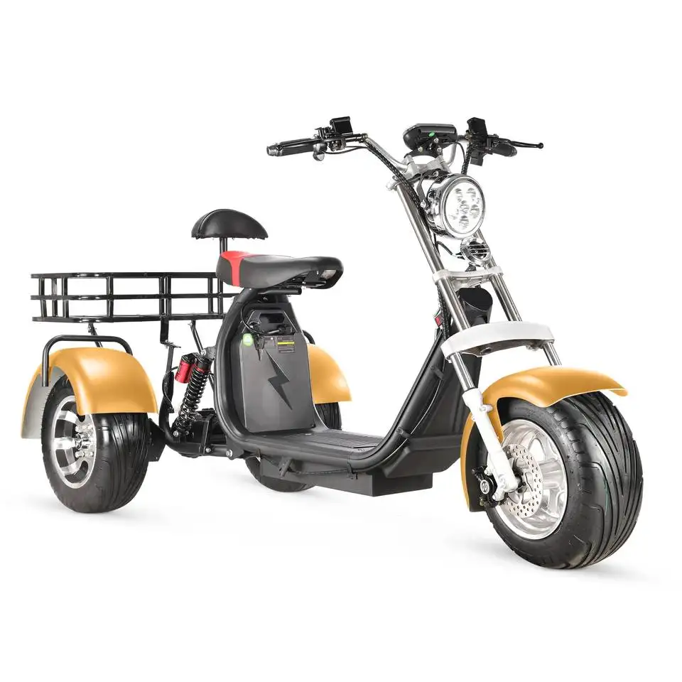 2023 grande cesta removivel bateria de Boa qualidade, confortavel, velocidade rapida ,3 Roda, triciclo , scooter,