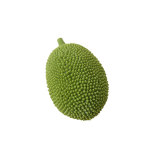Jouet anti-stress en TPR en forme de fruit de jaca simulé, boule de farine souple, vente en gros - Product Image 5
