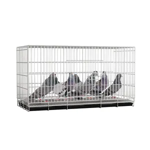 Fancy Pigeon Baskets And Pigeon Cages For Poultry Farm Pigeon Metal Cage