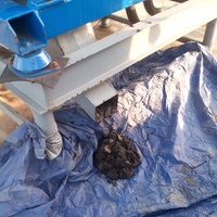 Centrífuga Decantadora Horizontal de Separación por Descarga de Tornillo para Clarificación de Aceite de Palma