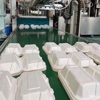 Boîte à lunch biodégradable en bagasse jetable 7x5 pouces, capacité 600 ml, approuvée par la FDA, boîte à sushi