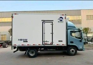 Camion frigorifique Foton pour la livraison de poulet congelé, camion frigorifique multi-usages 4x2 pour la livraison de nourriture en Amérique centrale - Product Image 4