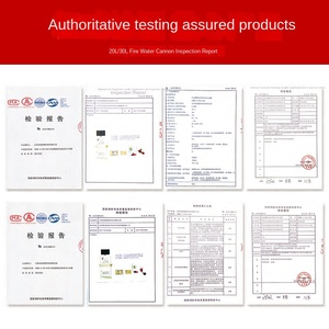 Moniteur d'incendie automatique avec suivi et positionnement pour la protection incendie des aéroports, en acier inoxydable durable - Product Image 5