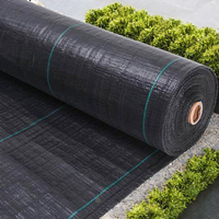 Toile de paillage personnalisée pour jardin |   Fournisseur de tapis anti-mauvaises herbes pour aménagement paysager au Vietnam