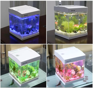 Mini aquarium carré en verre, accessoires pour aquarium, table basse, aquarium d'<span class=keywords><strong>eau</strong></span> salée, aquarium <span class=keywords><strong>de</strong></span> bureau personnalisé à <span class=keywords><strong>vendre</strong></span> - Product Image 5