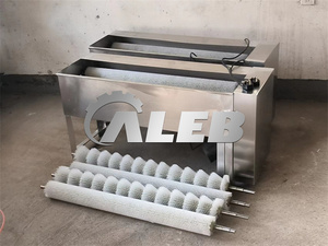 Machine de nettoyage d'œufs en acier inoxydable à haute efficacité, fonctionnement automatique, type brosse, sans blocage, sans bris, fiable - Product Image 4