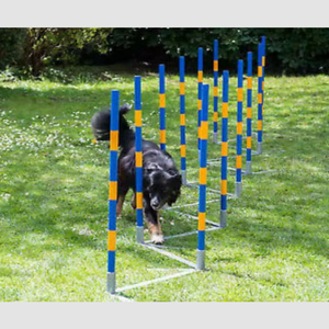 Set de Equipos de Entrenamiento de Agilidad para Perros: Postes de Slalom y Obstáculos de Acero para Perros - Product Image 3