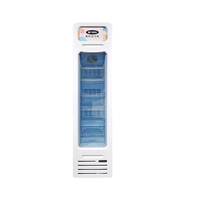 Réfrigérateur portable pour boissons Meisda SD105BG 105L en acier inoxydable, porte en verre, congélateur vertical commercial pour aliments surgelés
