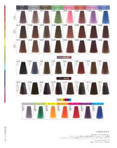 Best-seller professionale OEM tinture <span class=keywords><strong>per</strong></span> <span class=keywords><strong>capelli</strong></span> Swatch libro stile giapponese grafico colore <span class=keywords><strong>per</strong></span> il salone utilizzare <span class=keywords><strong>colori</strong></span> esatti - Product Image 4