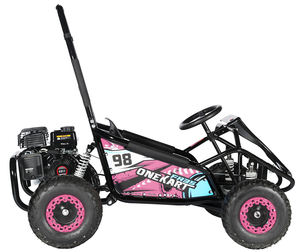 Funrun 2021 EPA/Carb Racing <span class=keywords><strong>go</strong></span> <span class=keywords><strong>kart</strong></span> for Kids 핑크 - Product Image 2