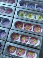 Fleurs éternelles en gros : Coffret cadeau Dahlia, fleurs préservées, prix usine, longue durée (3-5 ans), pour le Nouvel An et Noël
