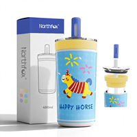Bouteille d'eau en acier inoxydable avec revêtement en verre, 480 ml (16 oz), isotherme, goût pur, logo personnalisé, vente en gros, fournisseur d'usine en vrac, OEM