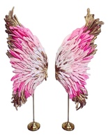 Ailes d'ange en plume pour enfants, Costume de fée du diable, grande taille