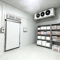 Cámara Frigorífica Modular en Contenedor con Control Digital Automático, Compresor Copeland, Precio Competitivo en Venta