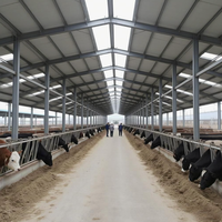 Structure en acier préfabriquée antirouille pour bâtiment d'élevage de vaches laitières en zone côtière