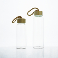 Bouteille d'eau en verre borosilicate incassable sans BPA de 16 oz et 34 oz avec poignée de randonnée et couvercle pour le camping et les activités de plein air – Offre Spéciale