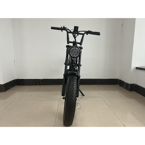 Vélo à pneus larges de 20 pouces, design personnalisé, moteur à disque mécanique 250W/48V/12Ah - Product Image 2