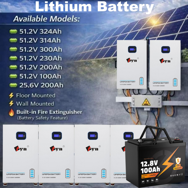 51.2V 100Ah 200Ah 314AhLiFePO4 Lithium Battery 10.24kWh Rack Mounted Deep Cycle for Server UPS Solar Storage & Off-Grid