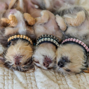 Diseñador personalizado moda <span class=keywords><strong>diamante</strong></span> perro <span class=keywords><strong>Collar</strong></span> PU cuero Rhinestone mascota collares tachonado diamantes brillantes cachorro gato collares - Product Image 6