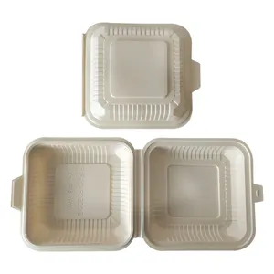 Umweltfreundliche PLA-Karton für Takeaway Lebensmittelauflage mit Deckel biologisch abbaubares Tellergeschirr Geschirr Einweg-Lebensmittelbehälter 1000 ml