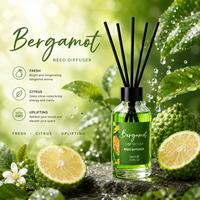 Diffuseur à bâtonnets 100 ml avec bâtonnets de rechange, recharge d'huile parfumée longue durée pour la maison, assainisseur d'air ambiant, lot économique pour la maison