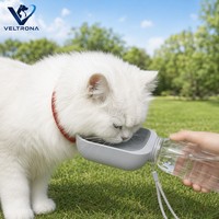 Bouteille d'eau portable pour chien et chat avec bol, distributeur d'eau pour animaux de compagnie en plastique pour les voyages en plein air