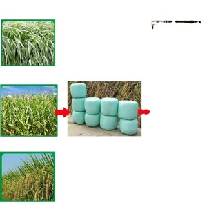 Mini Enfouisseuse-Rouleuse de Silage et de Foin pour Biomasse Humide et Paille - Product Image 5