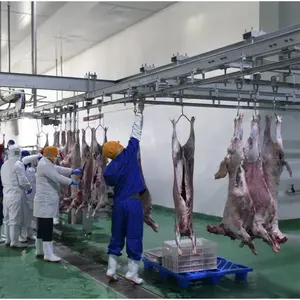 Automatic Sheep Slaughtering Equipment For Lamb Halal Turnkey Abattoir Line