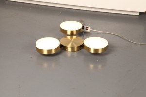 Lámpara de Techo LED de Estilo Natural Personalizada para Decoración de Interiores - Product Image 3