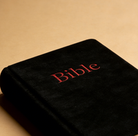 Édition d'étude biblique catholique espagnole personnalisable Reina Valera 1960 avec mots-clés en surbrillance Livre papier offset