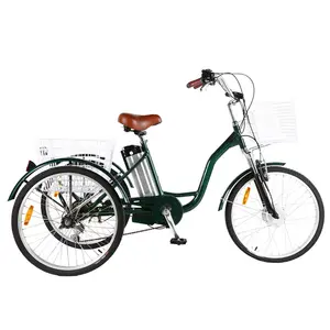 Tricycle électrique personnalisé OEM, pour adultes, bon triporteur à trois roues pour adultes, avec batterie