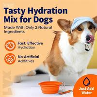 Poudre d'hydratation essentielle OEM pour chiens, enrichie en électrolytes et nutriments, améliorant la qualité de l'eau, complément alimentaire actif pour chiens seniors, soutien immunitaire et santé