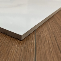 Carrelage en céramique blanc brillant 300x600mm pour murs intérieurs, idéal pour salle de bain, cuisine, salon et décoration intérieure