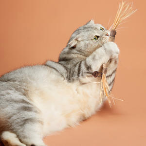 Pet Natural Silvervine Matatabi <span class=keywords><strong>Cat</strong></span> Chew Sticks Blend Sticks Lafite Grass Fruits <span class=keywords><strong>Cat</strong></span> Toys Catnip Toys for <span class=keywords><strong>Cat</strong></span> - Product Image 6