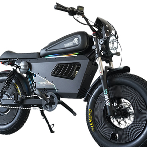 Motor de cubo trasero de 3000W de alta calidad, marco de aleación de aluminio de 3 velocidades, bicicleta eléctrica para adultos con batería de litio de 3000Wh - Product Image 5