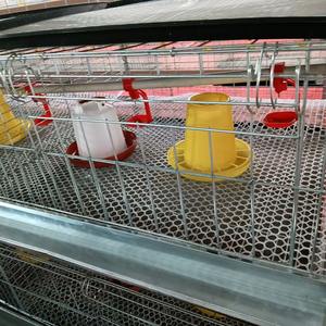 Jaula <span class=keywords><strong>para</strong></span> Cría <span class=keywords><strong>de</strong></span> Aves <span class=keywords><strong>de</strong></span> Corral, Jaula <span class=keywords><strong>para</strong></span> Cría <span class=keywords><strong>de</strong></span> Pollitos, Jaula <span class=keywords><strong>para</strong></span> Cría <span class=keywords><strong>de</strong></span> Gallinas Ponedoras, Jaula <span class=keywords><strong>para</strong></span> Cría <span class=keywords><strong>de</strong></span> Pollitos - Product Image 2