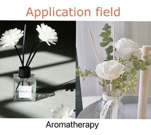 Huile Essentielle de Soin Personnel de Marque Supérieure Sans <span class=keywords><strong>Alcool</strong></span> Parfum Concombre Frais pour la Fabrication de Produits de Soin Corporel Service OEM - Product Image 2