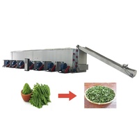 Ondersteuning voor maatwerk Chili-droogmachine, continue tomatendroogmachine, gaasband-kool/fruit/gember-tunnel droogmachine