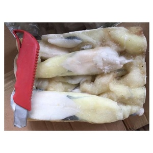 Sanfeng Hải Sản Chất Lượng Cao Đông Lạnh Mực Bqf Argentina Mực Trứng/Ilex Mực Trứng Cho Xuất Khẩu - Product Image 6