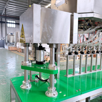 Máquina de Llenado de Botellas PET de 8 Cabezas, Equipo Automático de Llenado de Bebidas, Máquina de Llenado y Tapado de Líquidos, Embotelladora de Agua y Jugos