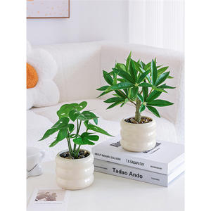ต้นไม้ประดิษฐ์สีเขียวในกระถางเซรามิก ต้นไม้เงิน ต้นไม้ตกแต่งโต๊ะทำงานในร่ม ใบไม้เสมือนจริง แพ็คหลายชิ้น - Product Image 5