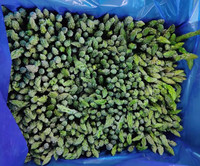 Asperges surgelées IQF certifiées HALAL, qualité supérieure, pour l'exportation, la vente en gros et au détail (OEM/ODM)