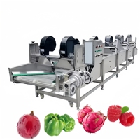 Voedselveilige roestvrijstalen SUS304 luchtblaasdroogmachine met ozonsterilisator voor het verwijderen van water van fruit- en groenteoppervlakken