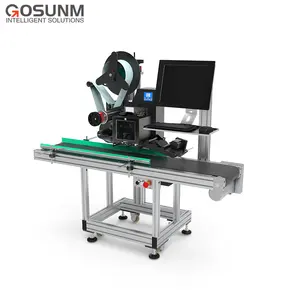 Special Design Fully Automatic Real-Time Printing and Labeling Machines Customized Print and Apply Labeling System Matching Prod